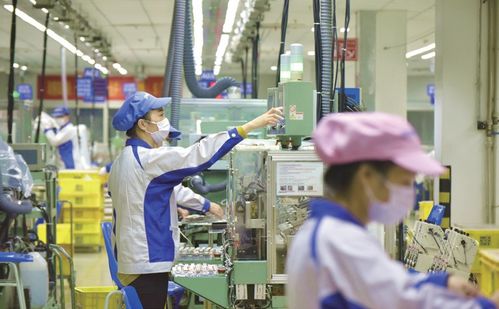 江西省贛州市科技創(chuàng)新服務(wù)中心領(lǐng)導(dǎo)一行蒞臨億融創(chuàng)服交流訪問，深化信息技術(shù)咨詢服務(wù)合作